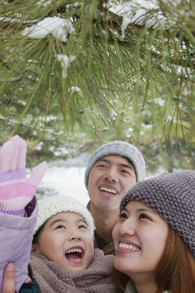 Familie erkundet Park — Stockfoto