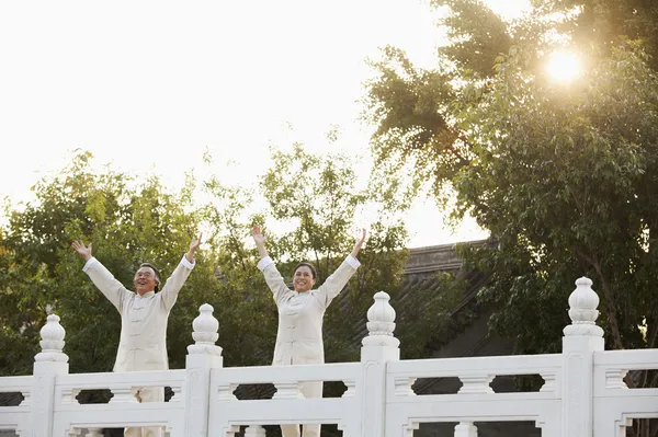 Two seniors practicing Taijiquan in Beijing Royalty Free Stock Photos