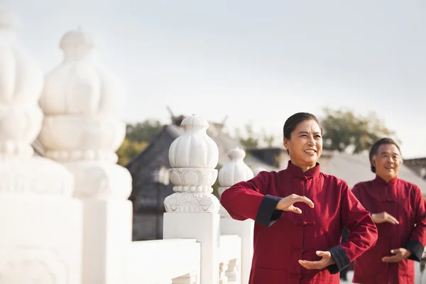 Dos personas mayores practicando Taijiquan en Pekín Imagen De Stock