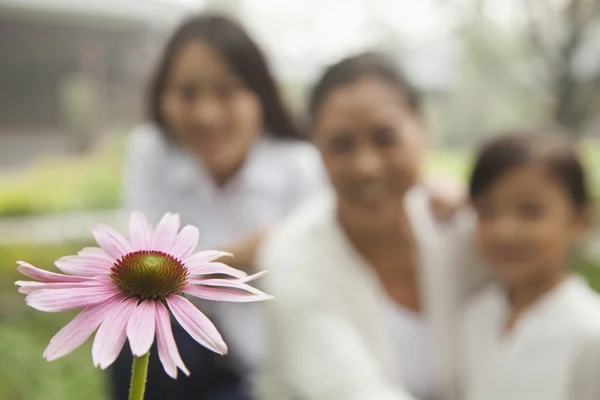 Generation tittar på blomma i trädgården — Stockfoto