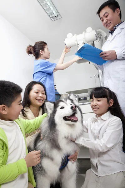 Mulher com crianças e cão de estimação no escritório do veterinário — Fotografia de Stock