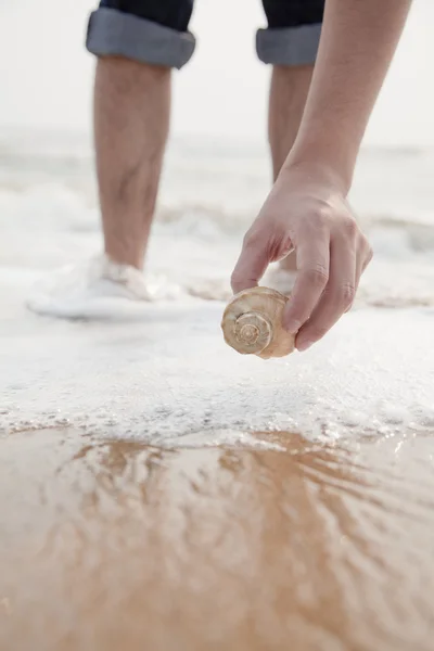 Hand holding seashell — Stock Photo, Image