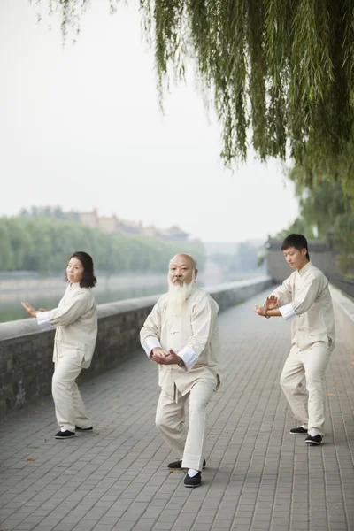 Chinês praticando Tai Ji — Fotografia de Stock