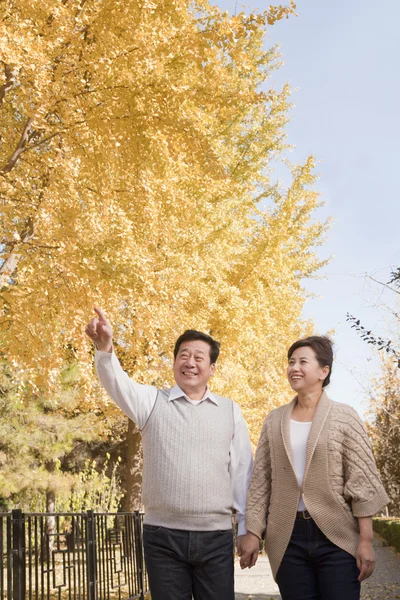 Pareja madura caminando juntos en el parque —  Fotos de Stock