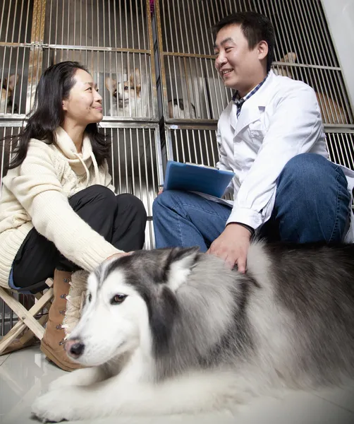 Vrouw met hond praten met dierenarts — Stockfoto