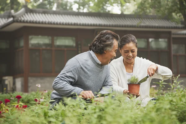Senior couple in garden — Stock Photo, Image