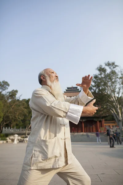 Senior Man Praktek Tai Ji — Stok Foto