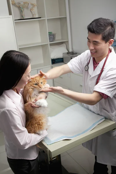 Woman with pet dog in veterinarian's office — Stock Photo, Image