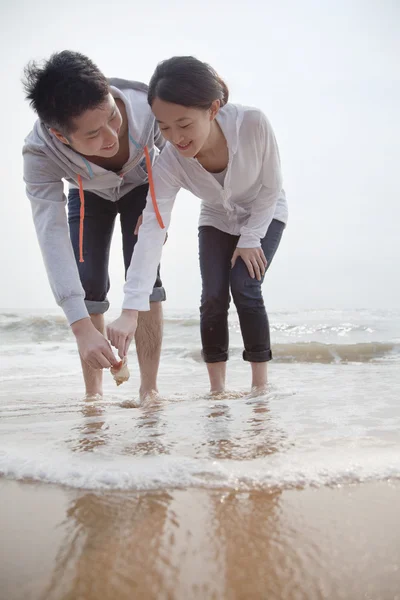 Paar kijken naar schelpen op het strand — Stockfoto
