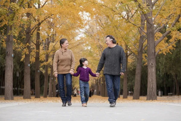 Grand-parents et petite-fille jouant dans le parc — Photo