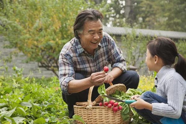Grootvader en kleindochter in de tuin — Stockfoto