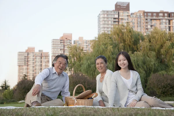 Pique-nique familial dans le parc — Photo