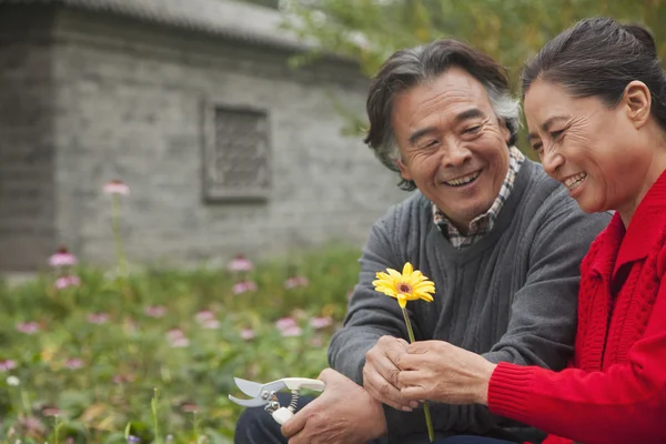 Feliz pareja de ancianos con flor —  Fotos de Stock