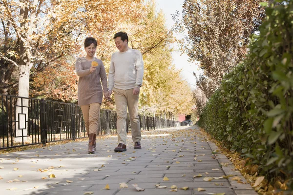 年长的夫妻在公园里散步聊天 — 图库照片
