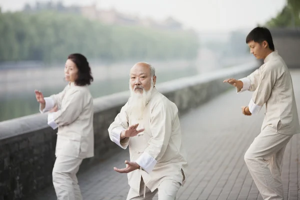 Chinese Practicing Tai Ji — Stock Photo, Image