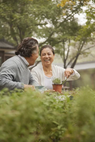 Senior par i trädgården — Stockfoto