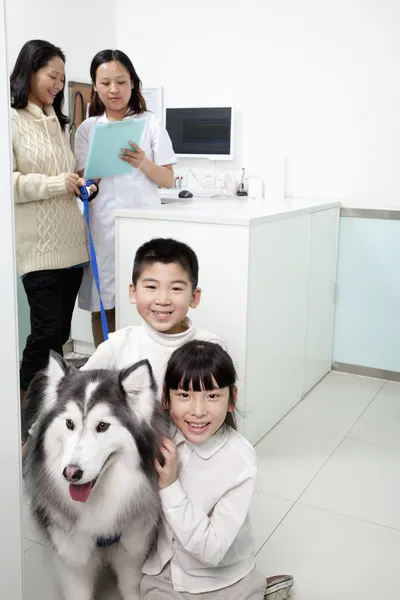 Aile ile evde beslenen hayvan köpek veteriner'ın ofisinde — Stok fotoğraf