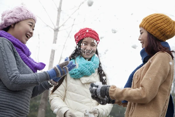 Amigos teniendo una pelea de bolas de nieve —  Fotos de Stock