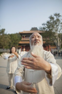 Chinese Practicing Tai Ji clipart