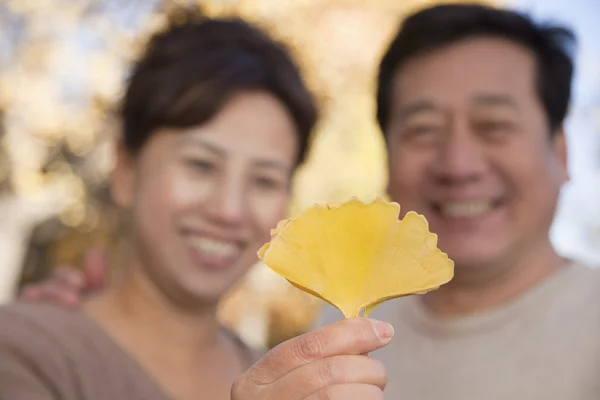 Ouder paar kijken naar het blad in het park — Stockfoto