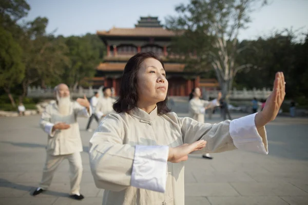 Chinese Practicing Tai Ji — Stock Photo, Image