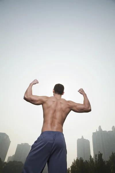 Muscular Man's Back — Stock Photo, Image