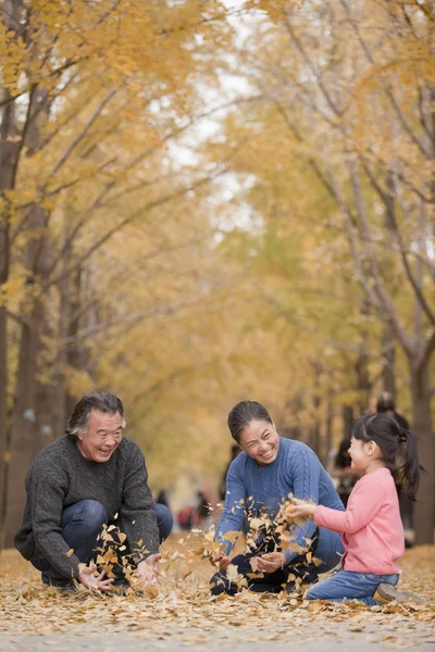 祖父祖母和孙女在公园里玩 — 图库照片