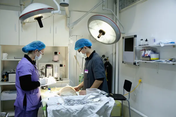 Veterinarios con perro en la mesa de operaciones — Foto de Stock