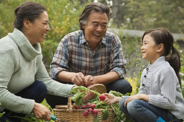 Grandparents and granddaughter in garden — Stock Photo, Image