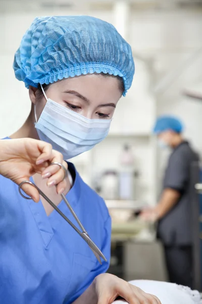 Veterinarian performing surgery — Stock Photo, Image