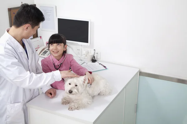 Flicka med hund i veterinär kontor — Stockfoto