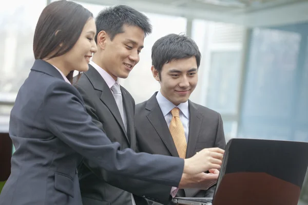 Business People Looking at Laptop — Stock Photo, Image
