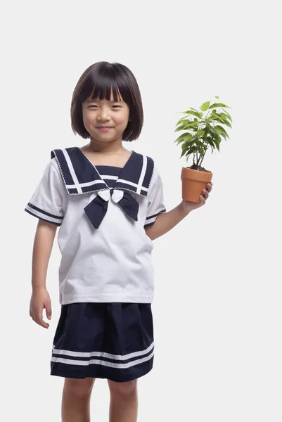 Niña sosteniendo la planta maceta — Foto de Stock