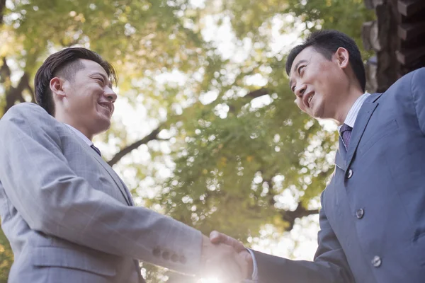 Businessmen Shaking Hands — Stock Photo, Image