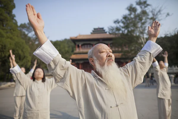 Kiinalainen harjoitellaan Tai Ji — kuvapankkivalokuva