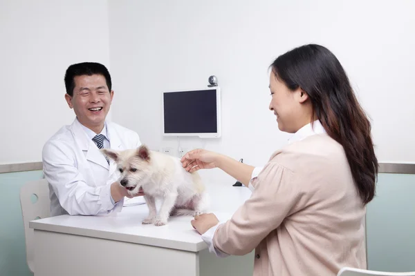 Mujer con perro de compañía en la oficina del veterinario — Foto de Stock