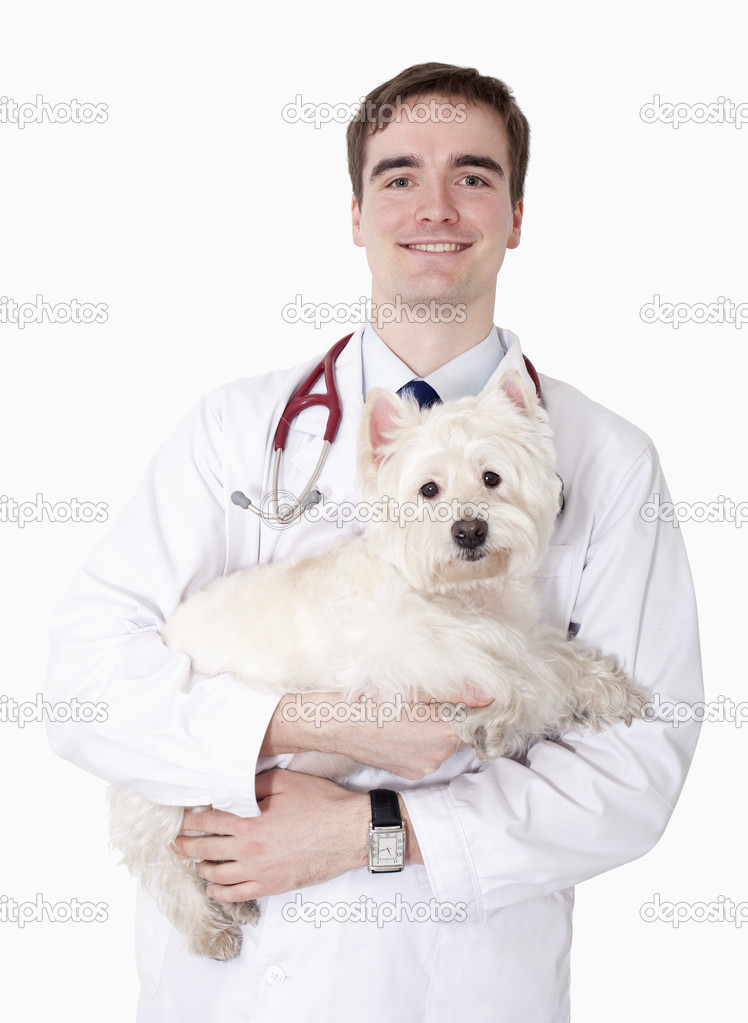 Veterinarian holding a dog