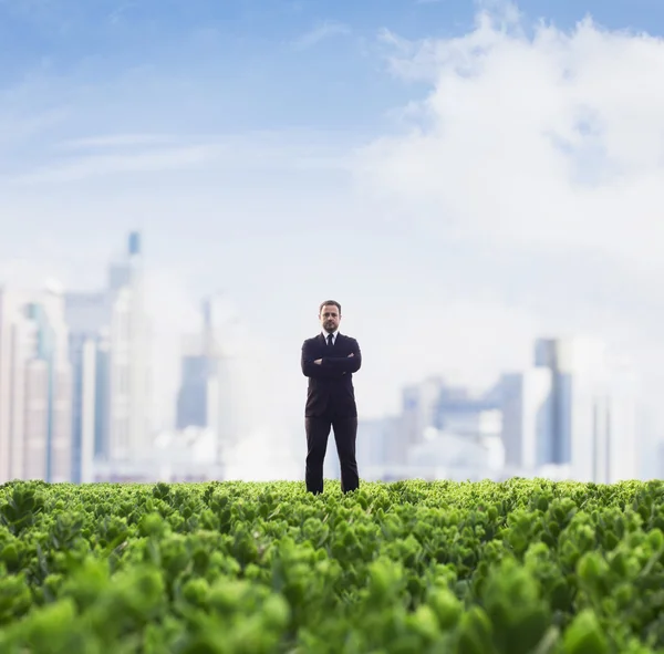 Zakenman met de skyline van de stad op de achtergrond — Stockfoto