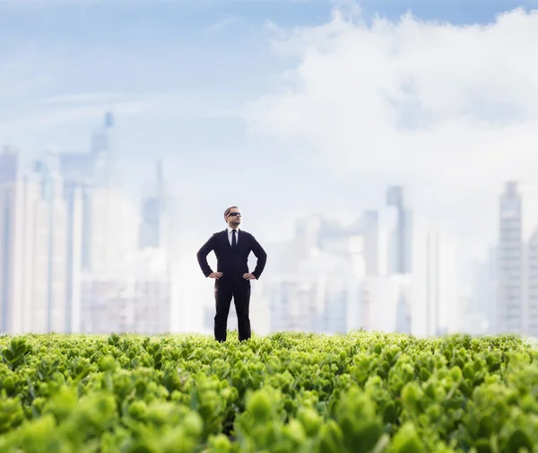 Businessman with city skyline in the background — Stock Photo, Image