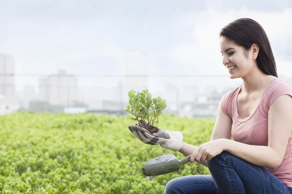 Kvinna trädgårdsskötsel och hålla en växt — Stockfoto