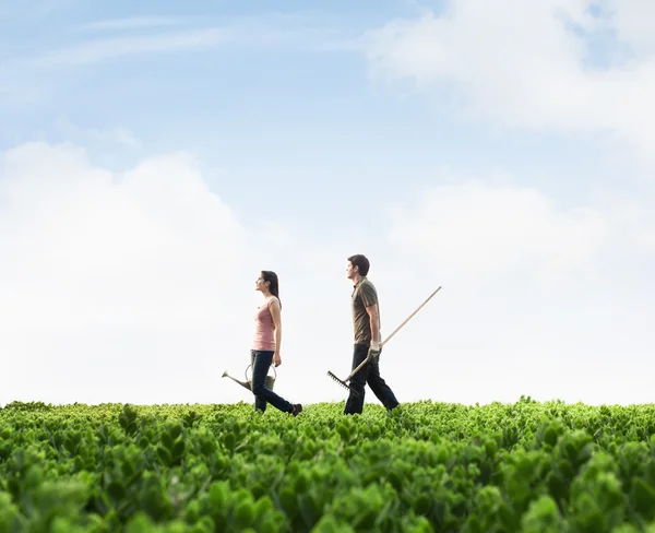 Persone che attraversano un campo verde — Foto Stock