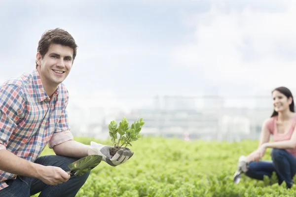 Muž drží rostlin a zahradnictví s mladou ženou — Stock fotografie