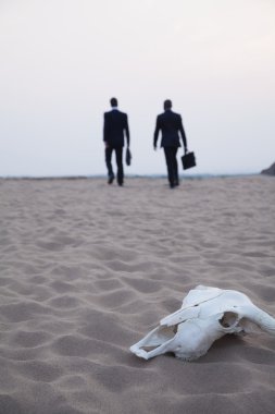 İşadamları bir hayvan kafatası uzak yürüme