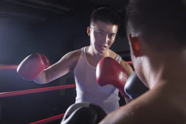 Twee mannelijke boksers gevechten in de boksring — Stockfoto