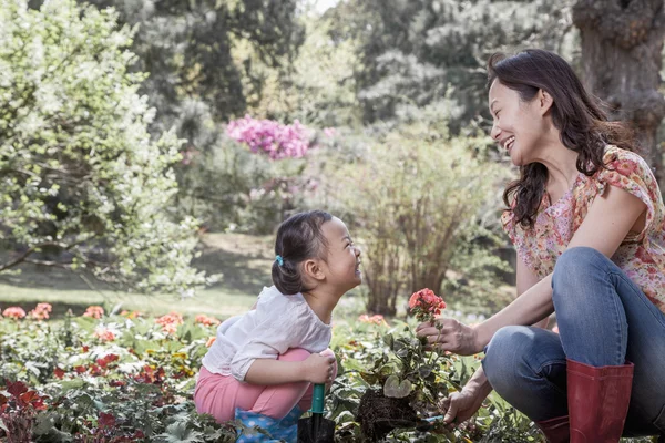 Moeder en dochter planten van bloemen — Stockfoto