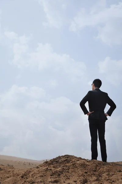 Businessman looking out over the desert — Stock Photo, Image