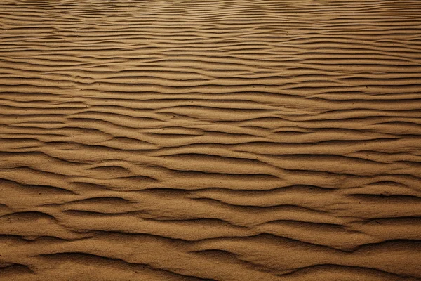 Antecedentes das dunas de areia — Fotografia de Stock