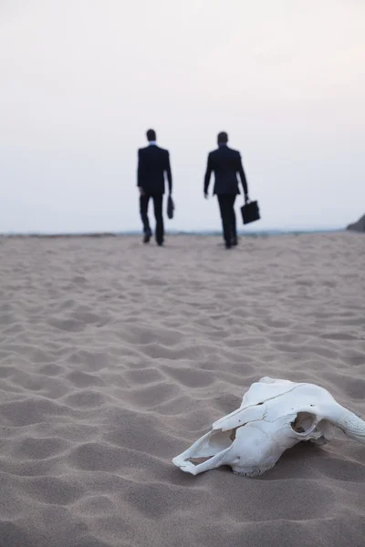 Businessmen walking away from an animal skull — Stock Photo, Image