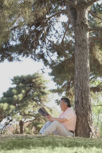 Man reading a book in a park — Stock Photo, Image