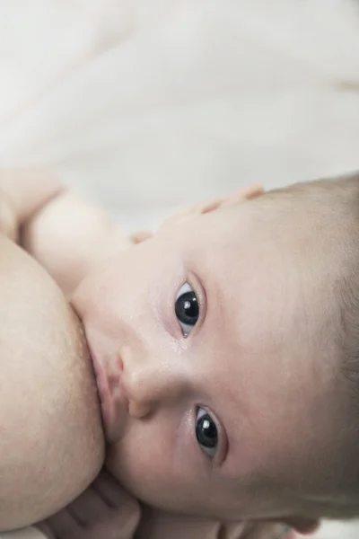 Baby breastfeeding — Stock Photo, Image